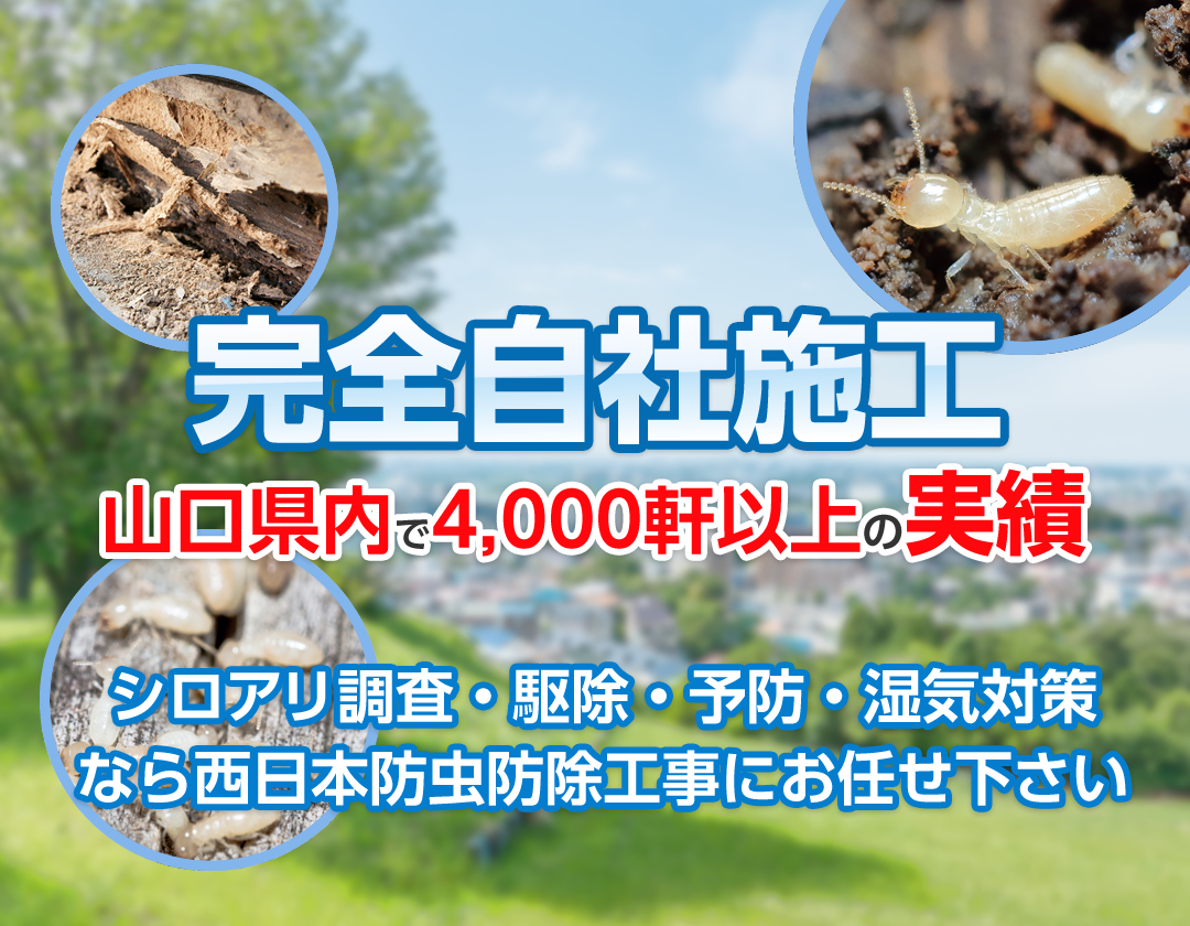 山口 防府でシロアリの予防 駆除なら西日本防虫防除工事へ