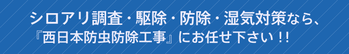 シロアリ調査・駆除・防除・湿気対策なら、『西日本防虫防除工事』にお任せ下さい！！