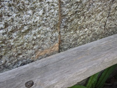 まずは蔵の外側の写真です。 石垣の間に白蟻の蟻道があります。