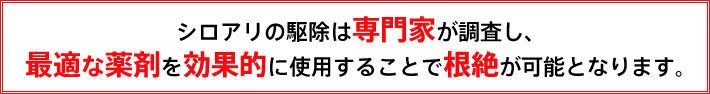 『シロアリの駆除は専門家が調査し、最適な薬剤を効果的に使用することで根絶が可能となります』