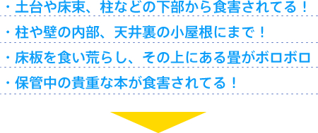 ・土台や床束、柱などの下部から食害されてる！ ・柱や壁の内部、天井裏の小屋根にまで！ ・床板を食い荒らし、その上にある畳がボロボロ ・保管中の貴重な本が食害されてる！