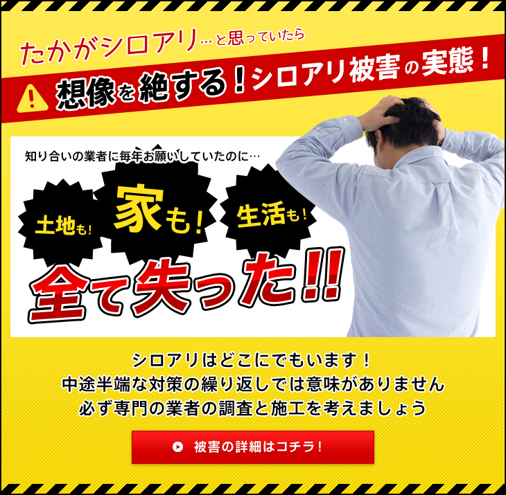 たかがシロアリ…と思っていたら想像を絶する！シロアリ被害の実態！ 知り合いの業者に毎年お願いしていたのに…土地も！家も！生活も！全て失った!! シロアリはどこにでもいます！中途半端な対策の繰り返しでは意味がありません。必ず専門の業者の調査と施工を考えましょう。 被害の詳細はコチラ！