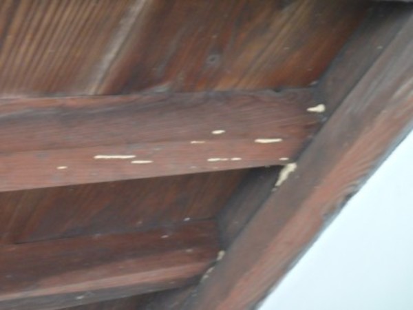 山口市江崎にて何年もシロアリ被害に遭われた住まい 山口 防府でシロアリの予防 駆除なら西日本防虫防除工事へ