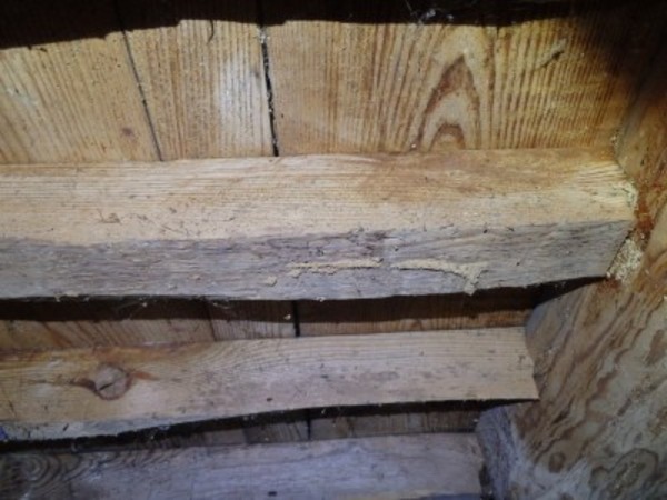 山口市江崎にて何年もシロアリ被害に遭われた住まい 山口 防府でシロアリの予防 駆除なら西日本防虫防除工事へ