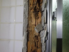 お風呂場・脱衣所のリフォーム時に白蟻予防工事。過去の被害がよくわかります。