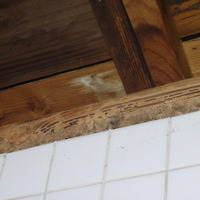 お風呂場・脱衣所のリフォーム時に白蟻予防工事。過去の被害がよくわかります。のサムネイル