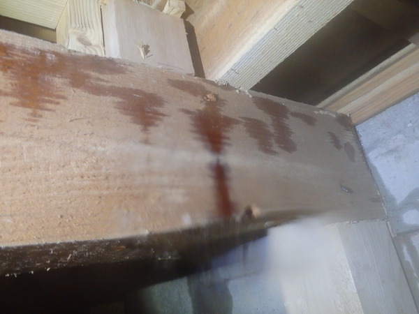 下関市羽山町にてヤマトシロアリ駆除工事 先日換気扇工事もさせていただきました 山口 防府でシロアリの予防 駆除なら西日本防虫防除工事へ