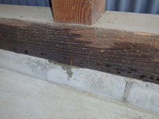 防府市台道にて白蟻予防工事。新築から初めて。木造の車庫に被害がありました。