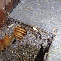防府市台道にて白蟻予防工事。新築から初めて。木造の車庫に被害がありました。のサムネイル