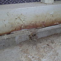 下関市綾羅木本町にて白蟻予防工事。倉庫には被害が。のサムネイル
