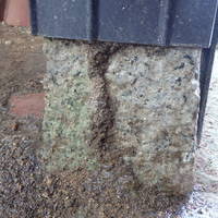 山口市佐山にて、蔵の白蟻駆除。被害や地域的にもカンモンシロアリかと。のサムネイル