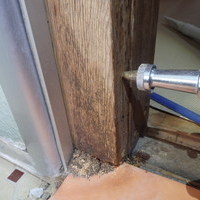 防府市佐野にてイエシロアリ駆除。浴室周りから発生した白蟻の駆除です。のサムネイル