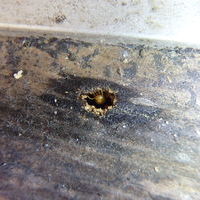防府市佐野にてイエシロアリ駆除。浴室周りから発生した白蟻の駆除です。のサムネイル