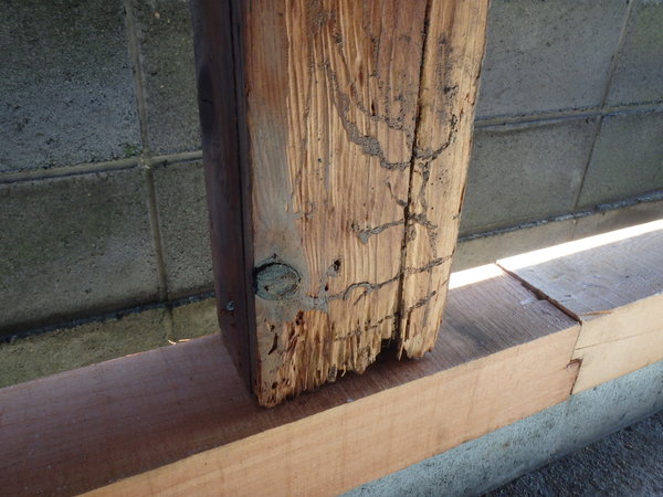 防府市泉町にて倉庫の白蟻被害の改修工事。修繕に合わせて適切に白蟻予防を。のサムネイル