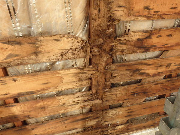 防府市今宿にてヤマトシロアリ駆除工事。白蟻被害の始まりは外壁内の浸水でした。のサムネイル